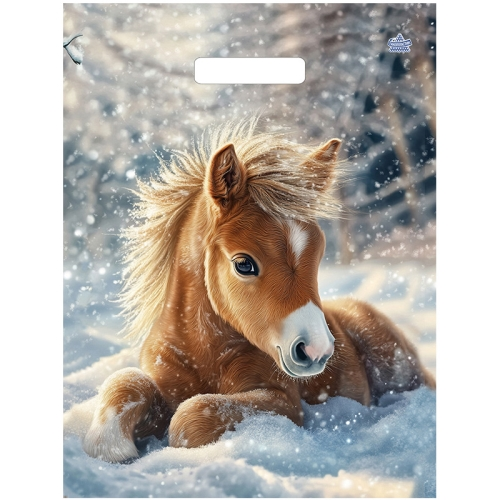 НГ Пакет проруб ручка 31х40  60мкр ПВД "Ветерок" /50шт./Тико глянец