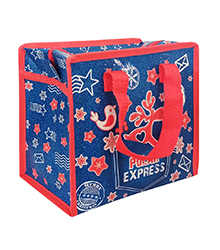 Сумка на молнии Н.Г. 2кг.23,5х20,5+14см